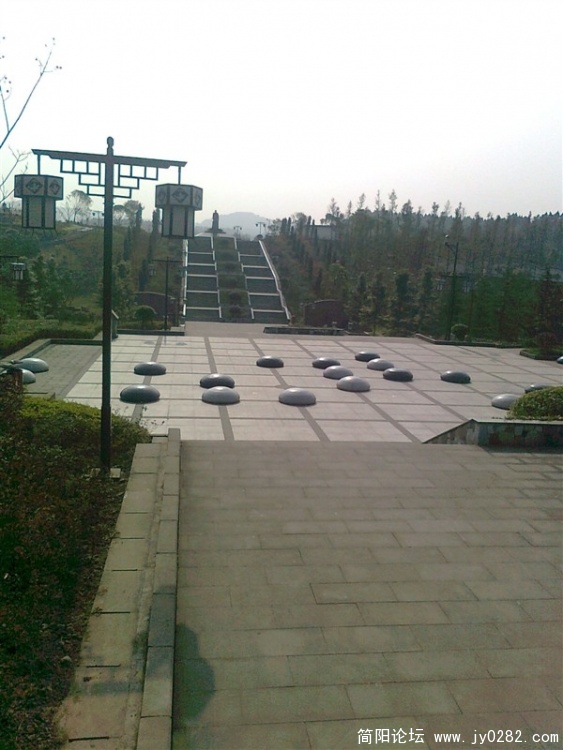 535232.jpg