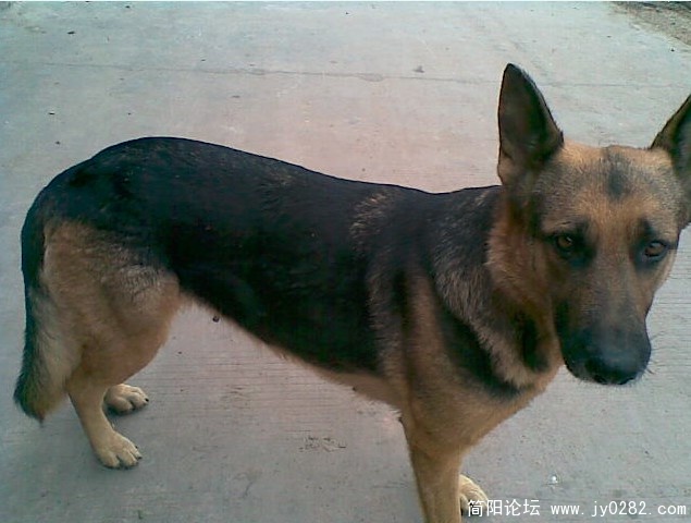 KY1OX4PD3`R9TL7V`G]UZAH.jpg