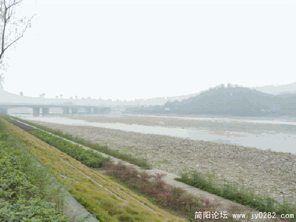 P1030579_conew2.gif