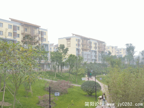 P1030597_conew1.gif