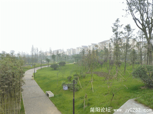P1030594_conew1.gif