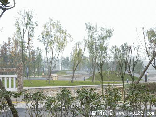 P1030691_conew1.gif