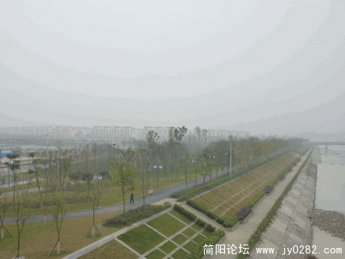 P1030671_conew1.gif