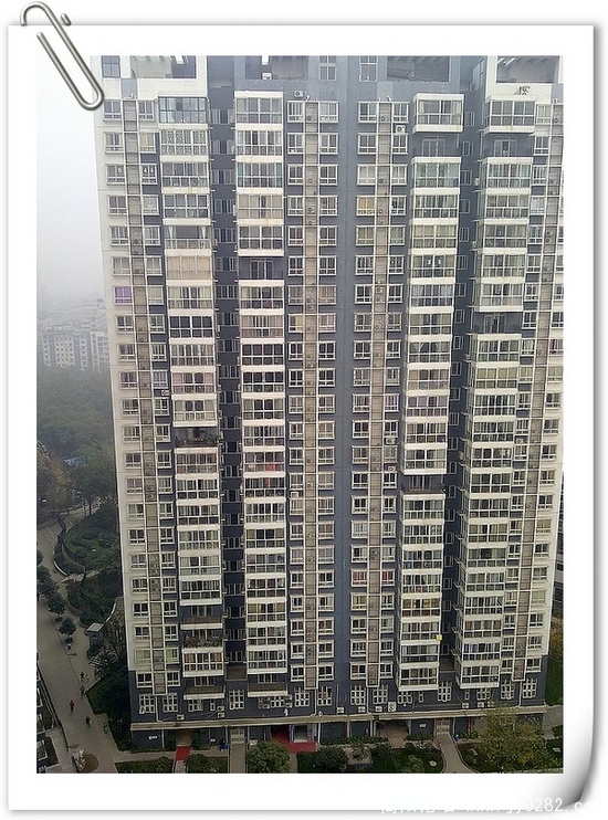 20101212192.jpg