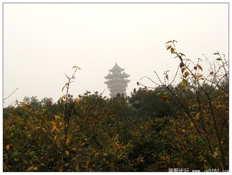 IMG_3050.jpg