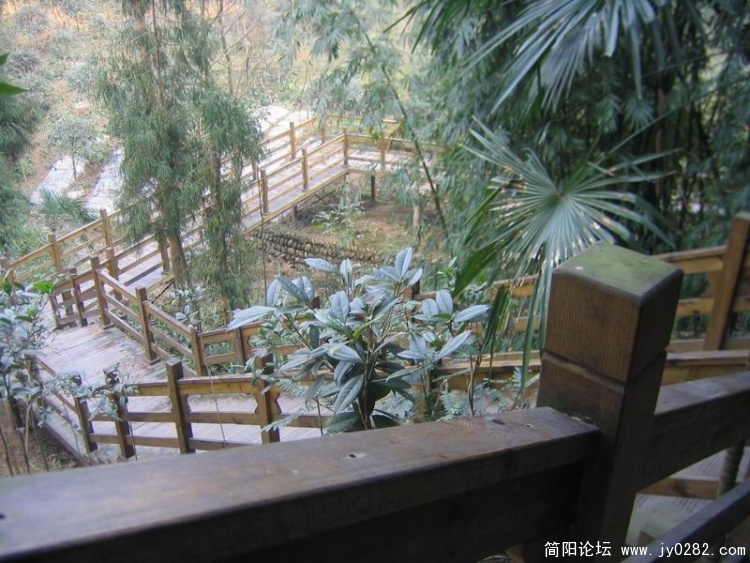 照片 136.jpg