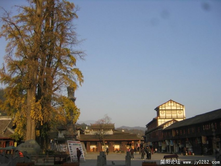 照片 117.jpg