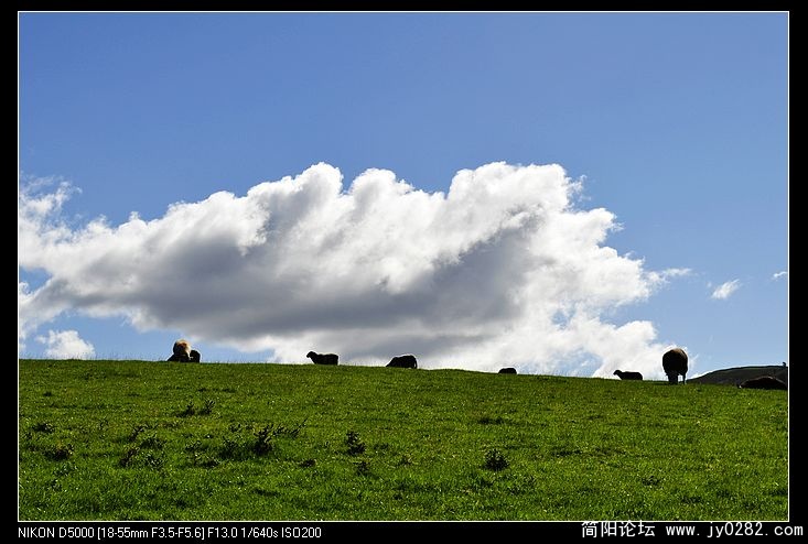 nEO_IMG__DSC0924.jpg