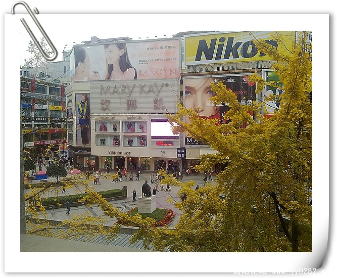 20101215207.jpg