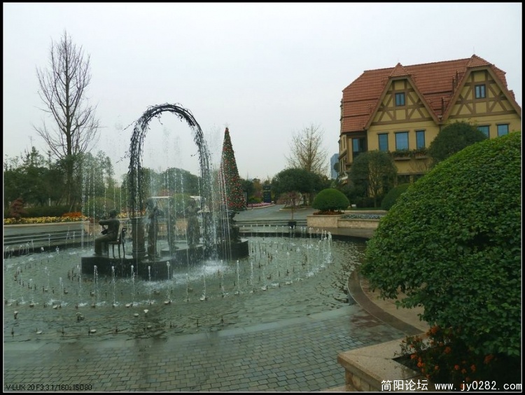 539.jpg