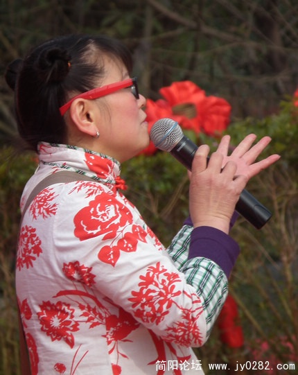 羊 250.jpg