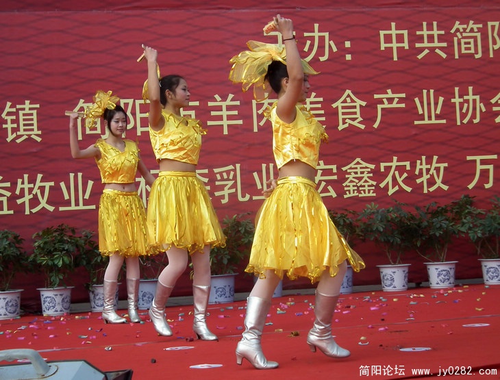 羊 309.jpg