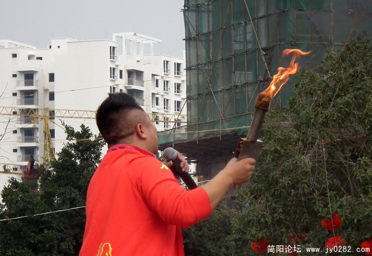 羊 373.jpg