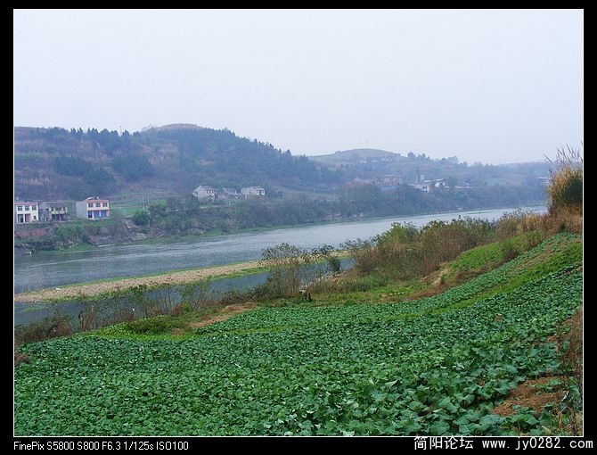 DSCF0016.jpg