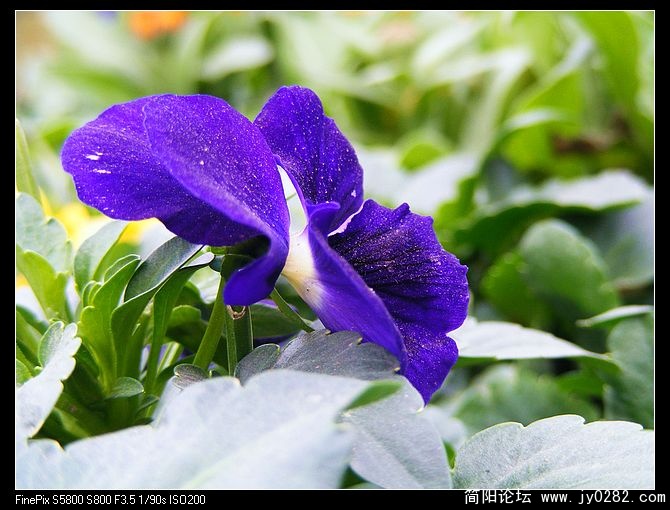 DSCF0109.jpg