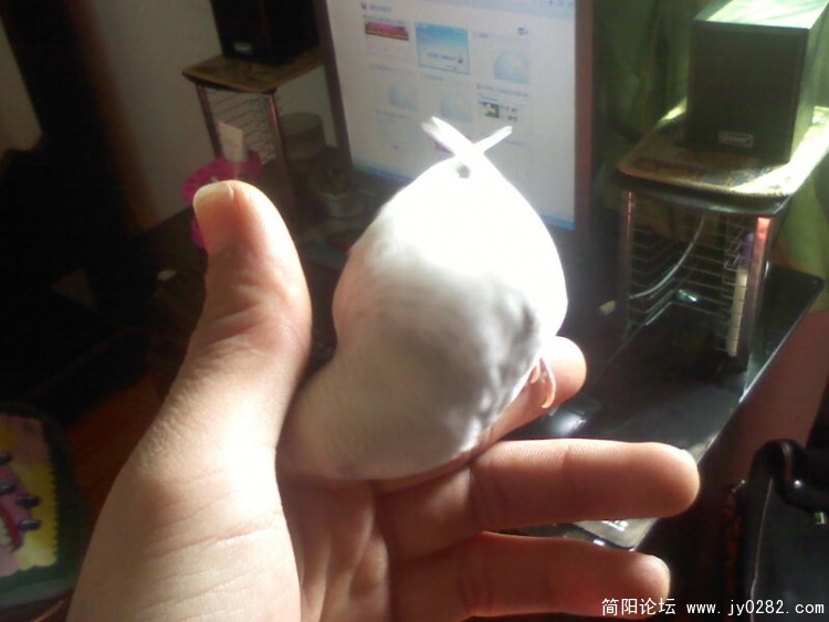 照片0135A.jpg