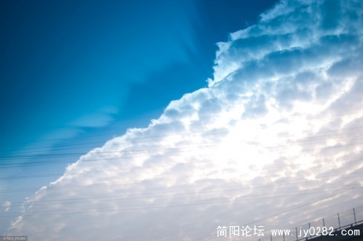 2008e5d6e5ed9a4b3bf3cf8f.jpg