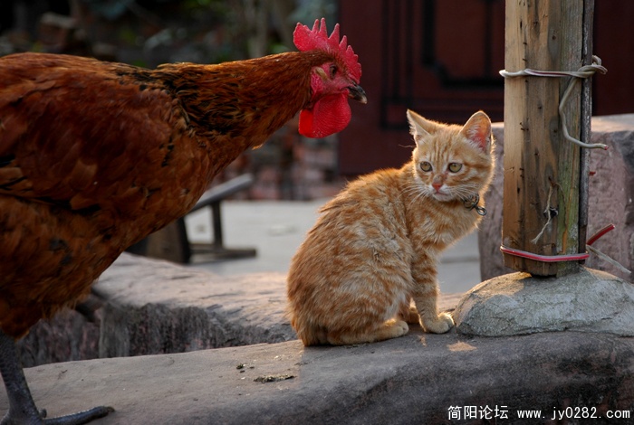2-什么事？.jpg