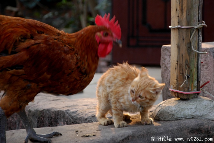 4-我害怕！.jpg