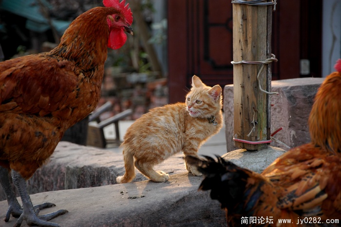 3-别过来！.jpg
