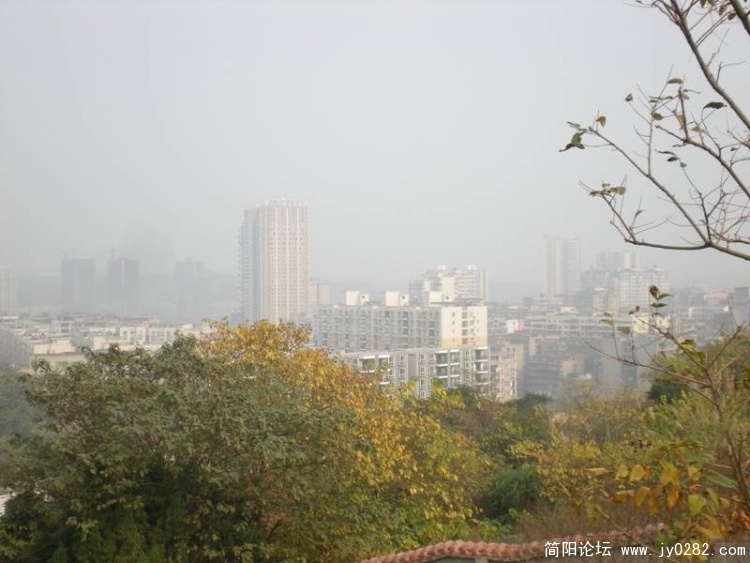 5978d83c-84e9-4422-a961-a3eedff6b077_800x600.jpg