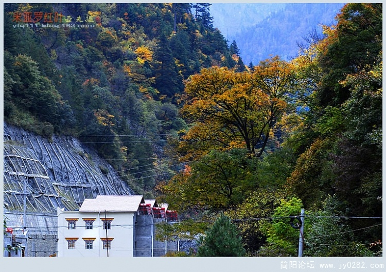 米亚罗红叶（一）—03副本.jpg