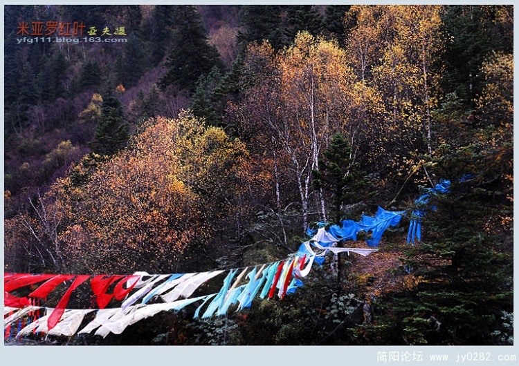 米亚罗红叶（一）—07副本.jpg