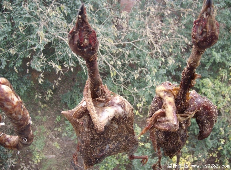 SANY3139.JPG