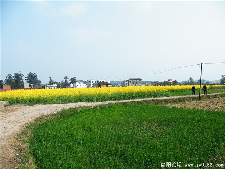 DSCF0233.jpg