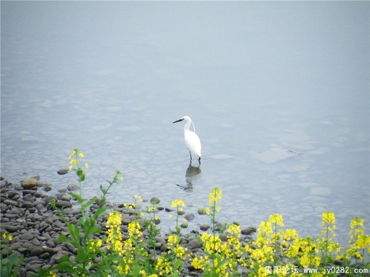 DSCF0112.jpg
