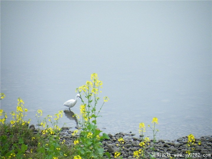 DSCF0110.jpg