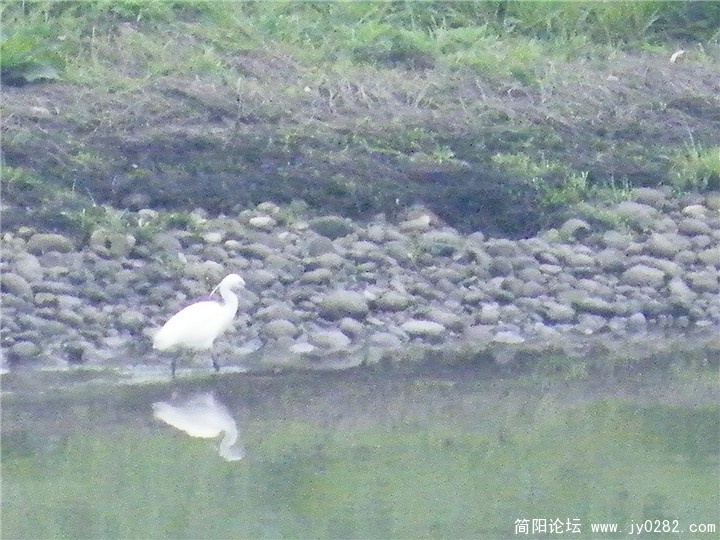 DSCF0116.jpg
