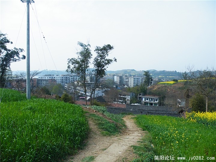 DSCF0205.jpg