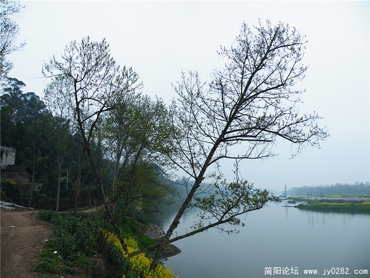 DSCF0132.jpg