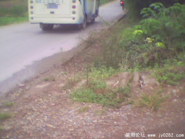 这就是养马车