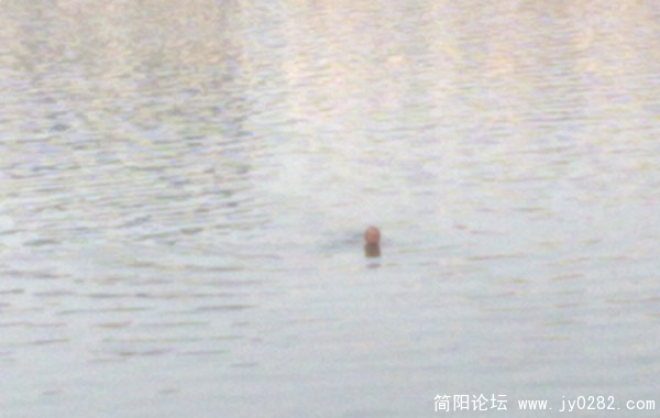 201012268323.jpg