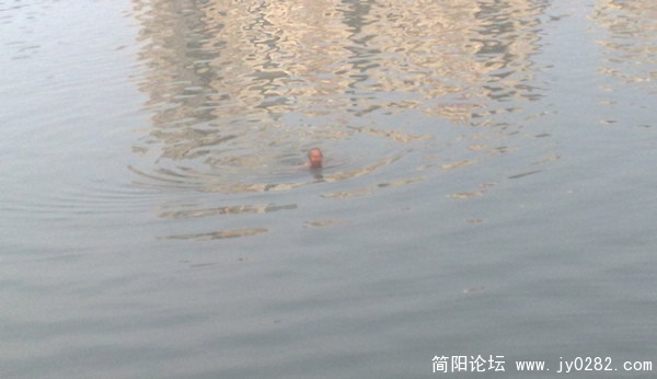 201012268324.jpg