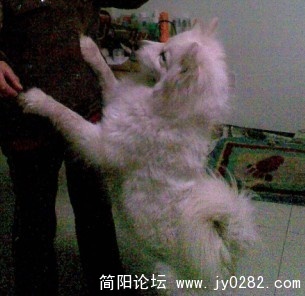 想吃水果3.jpg