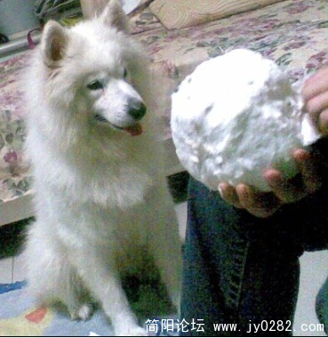好久剥完嘛.jpg