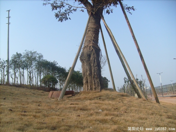 S7303846.JPG