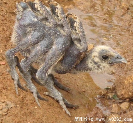 未命名.jpg