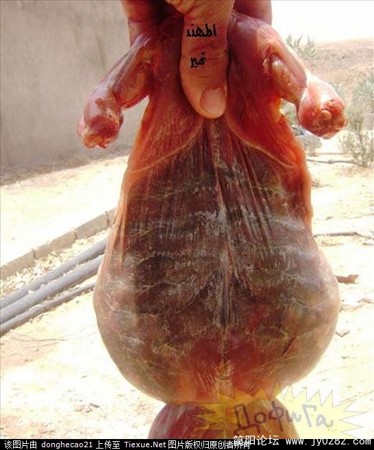 16.jpg