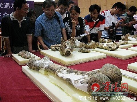 简阳龙垭遗址.jpg