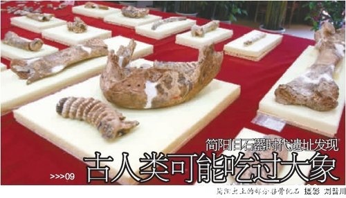 简阳龙垭遗址化石.jpg