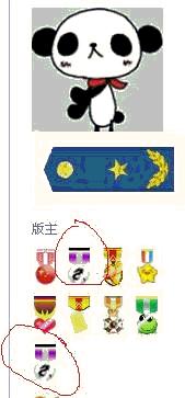 0.JPG