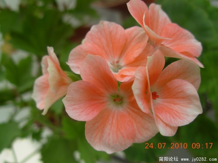 DSCN0285.JPG