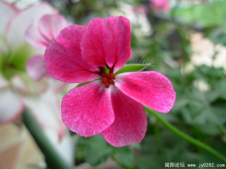 DSCN0026.JPG
