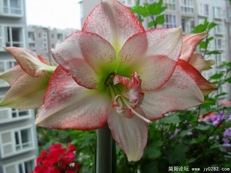 DSCN9971.JPG