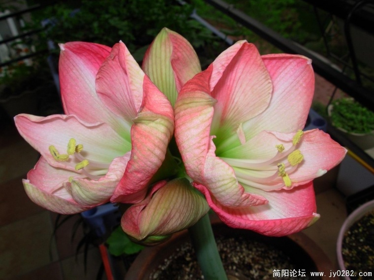 DSCN9844.JPG