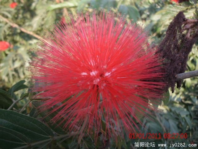 GEDC0658s.jpg